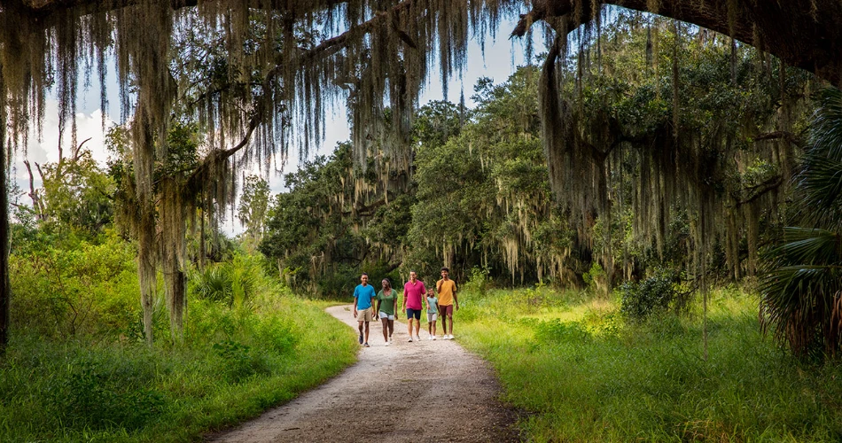 Things to Do in Lakeland, Florida: A Complete Guide for 2025